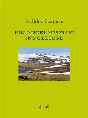 cover image of Ein Angelausflug ins Gebirge